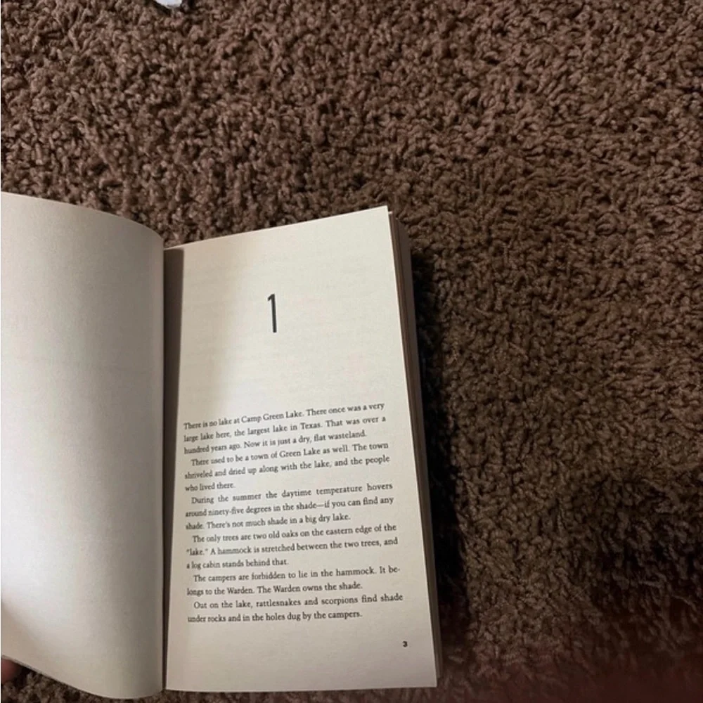 Set of 4 books - Picture 8 of 9